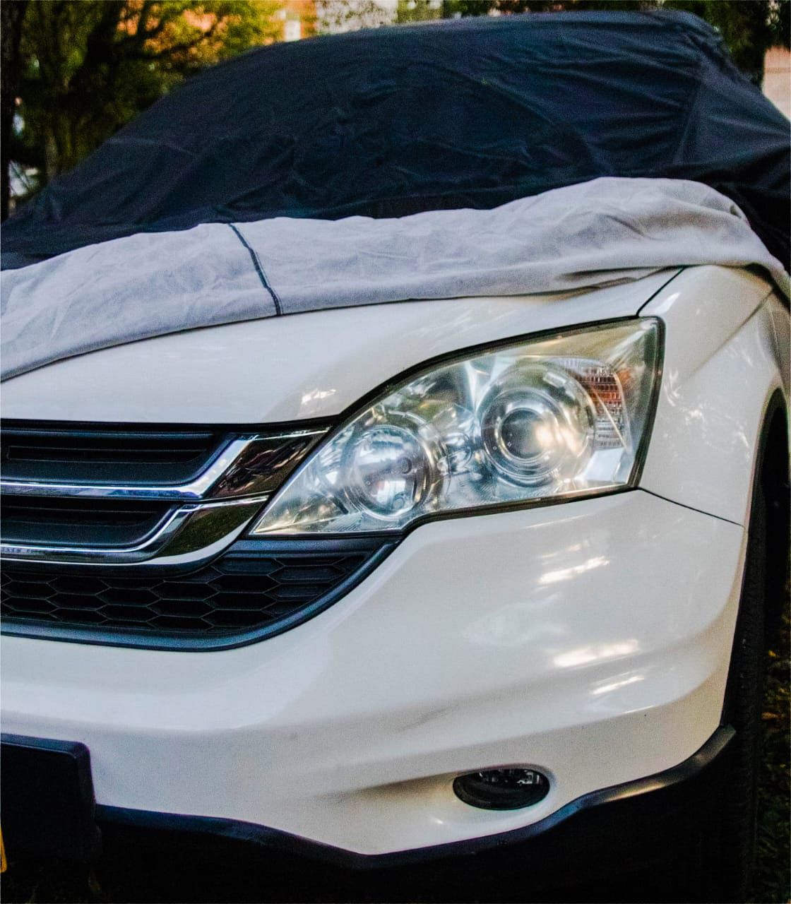 PROTECTOR PREMIUM DE AUTO NEGRA/ PIJAMA